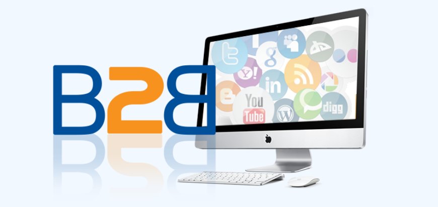 B2B Portal Development